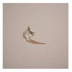 DAP Alex Plus Spackling - White, 7 oz. - 7079818744 - Caulks Sealants 8 DAP Alex Plus Spackling - White, 7 oz. - 7079818744 - Caulks Sealants -Painting Sales Shop 2477f5ef64fcadddf83def6561ef619d8f85b6ec 2443439 3