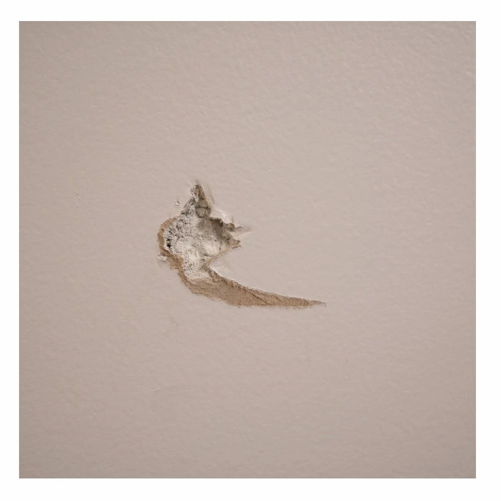 DAP Alex Plus Spackling - White, 7 oz. - 7079818744 - Caulks Sealants 3 DAP Alex Plus Spackling - White, 7 oz. - 7079818744 - Caulks Sealants - Image 3