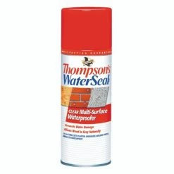 Thompson's Thompsons WaterSeal Clear Multi-Surface Waterproofer Aerosol TH.010100-18 - Wood Preserves