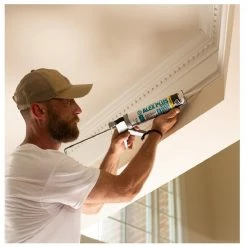 DAP Alex Plus All Purpose Acrylic Latex Caulk Plus Silicone - Clear, 10.1 oz. - 7079818156 - Caulk & Sealants -Painting Sales Shop 9e428551b31adeefa4b3064389b102f0ab8a1641 2442310 4